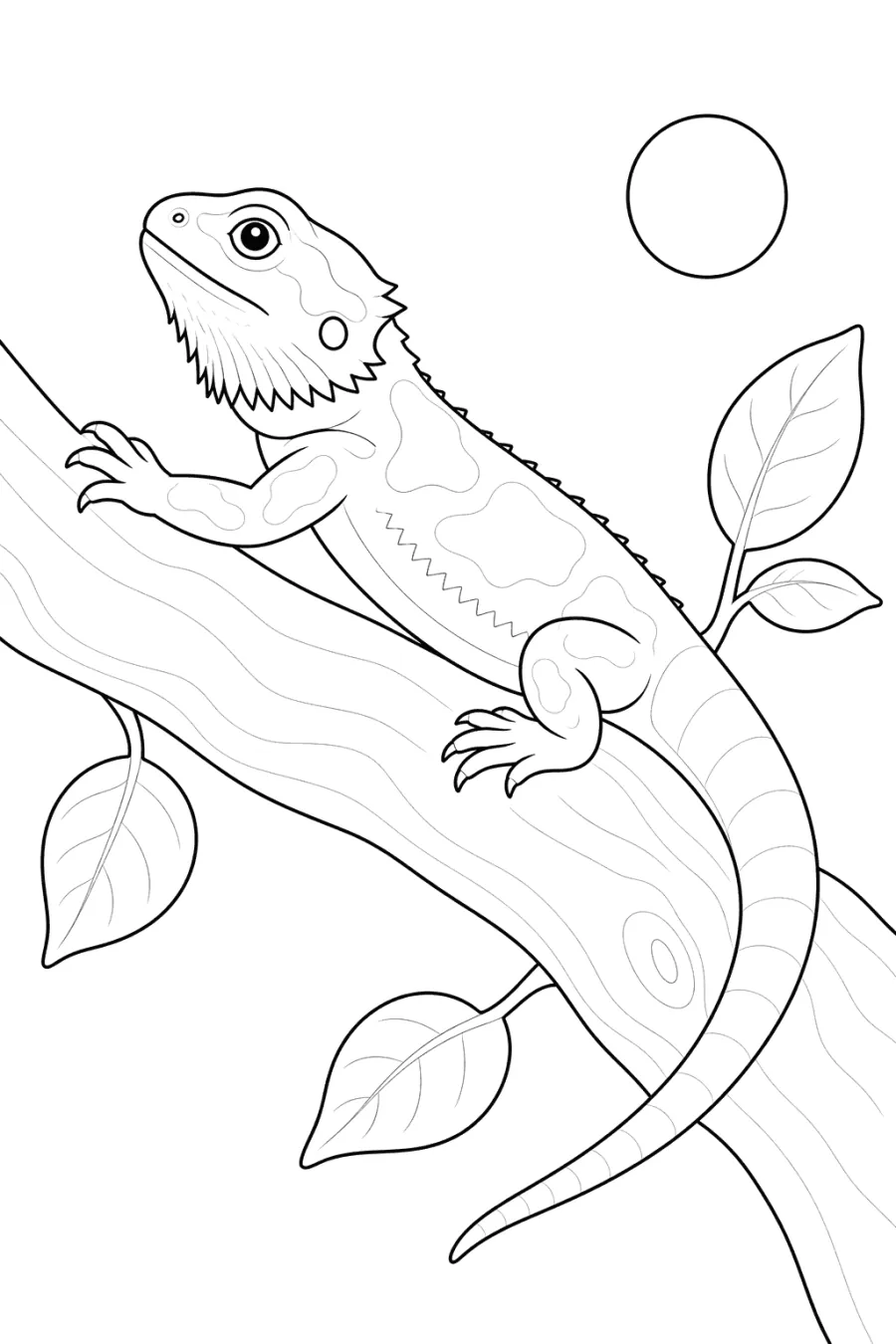 Bearded Dragon Climbing a Tree Branch
