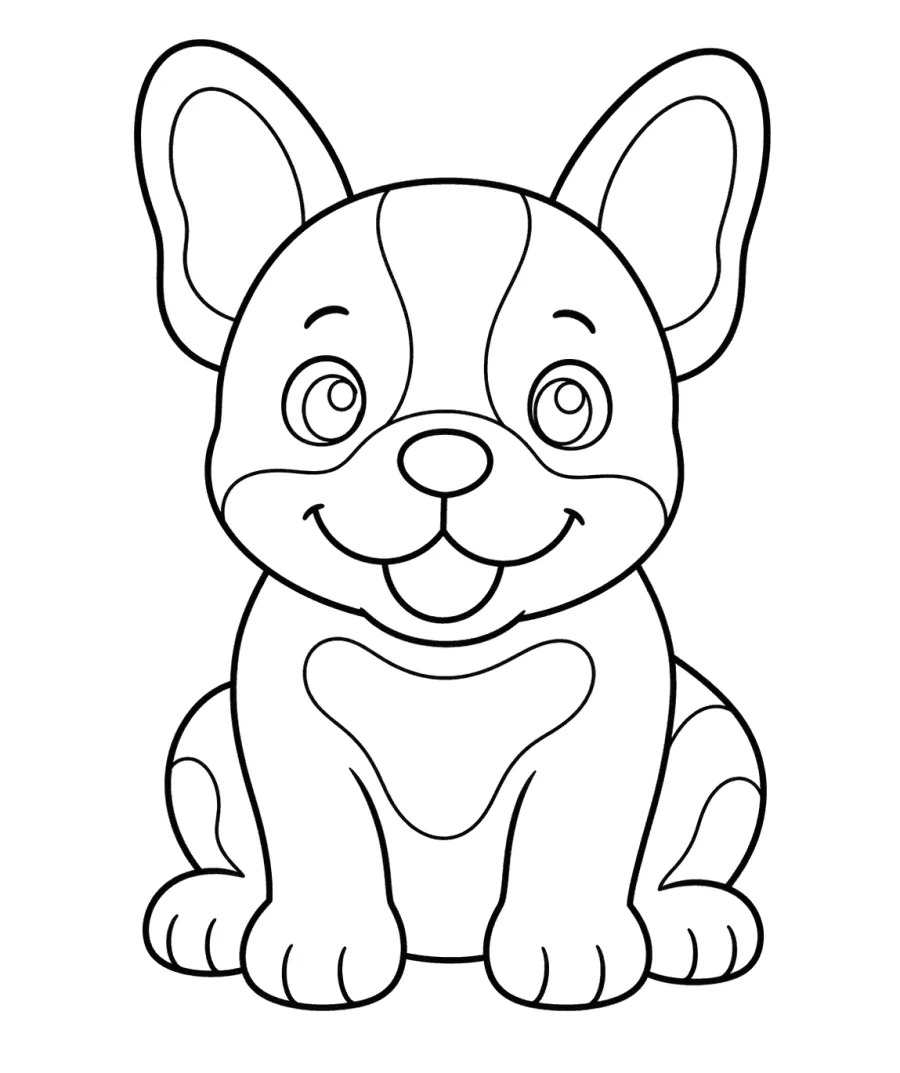 Corgi Puppy Smiling Front View