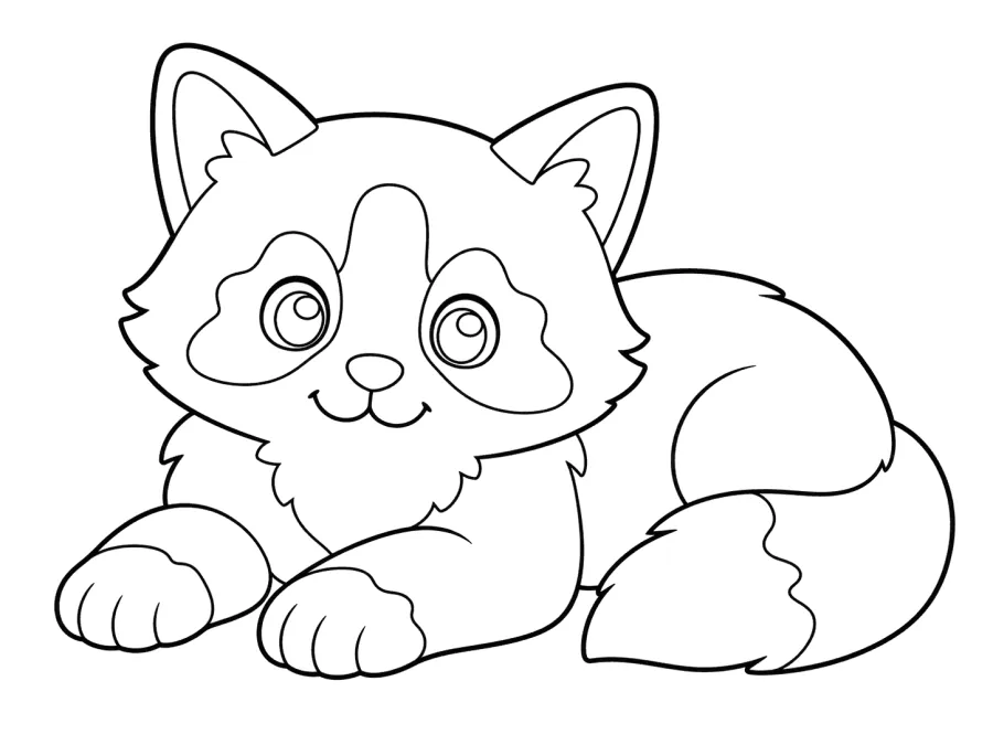 Fluffy Kitten Lying Down