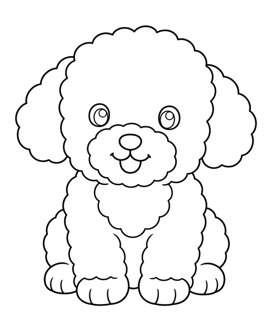 Fluffy Poodle Puppy Sitting