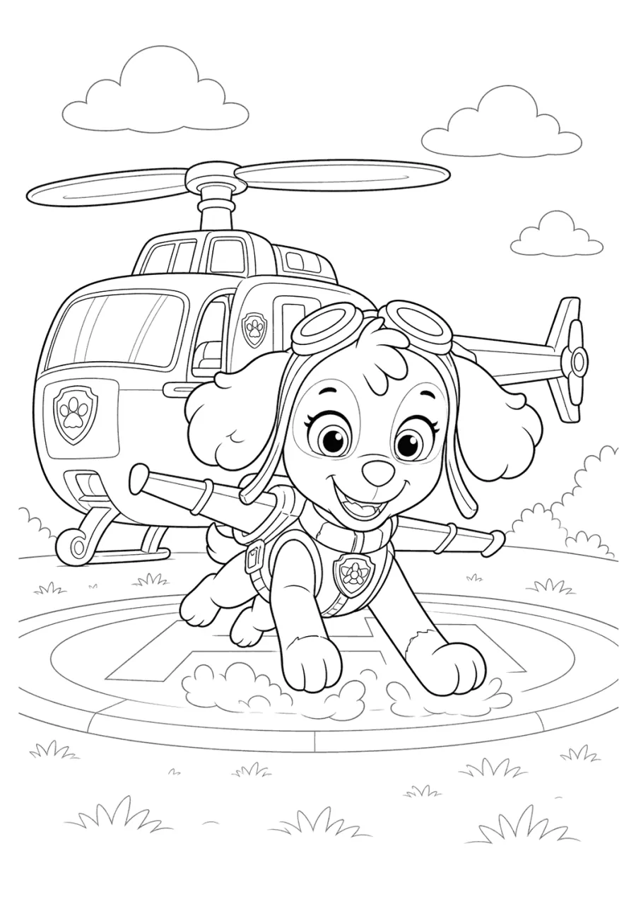Paw Patrol Skye Landing by a Helicopter