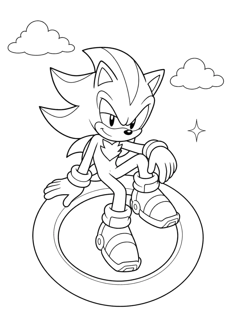 Shadow Sonic Sitting on a Floating Ring