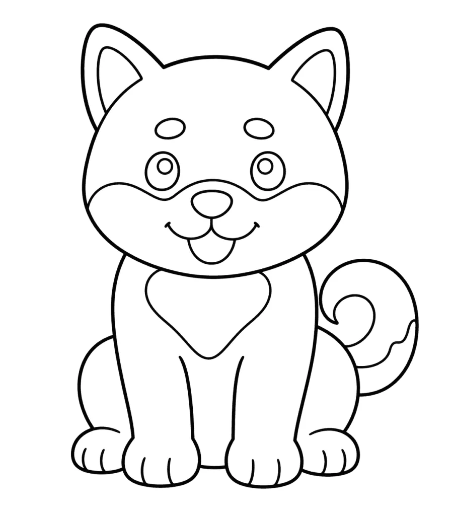 Shiba Puppy Sitting Front View