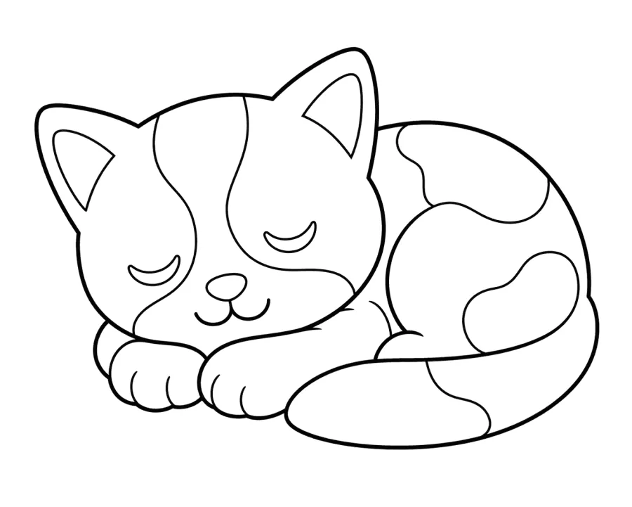 Sleeping Cat Curled Up