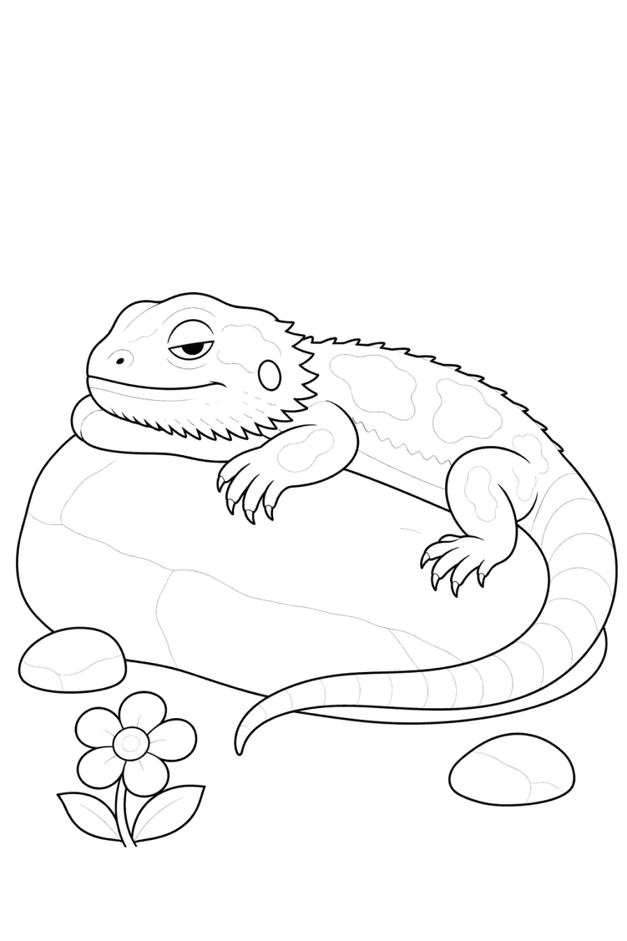 Sleepy Bearded Dragon on a Stone